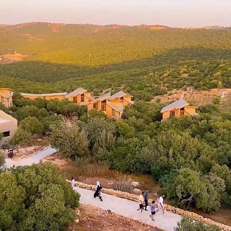 Ajloun Forest Reserve Jarash Esterno foto