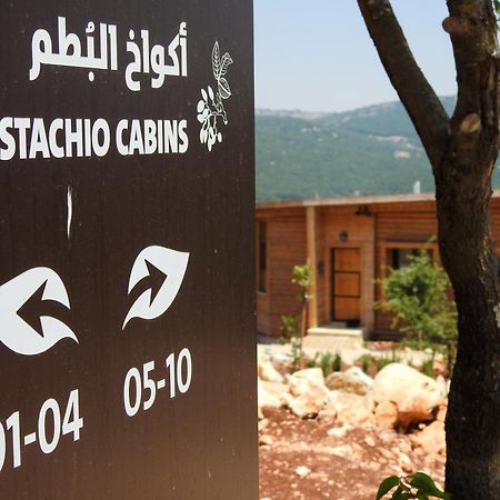Ajloun Forest Reserve Jarash Esterno foto