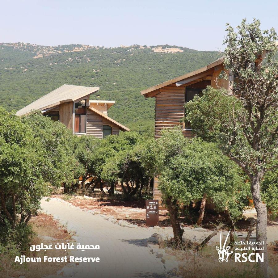 Ajloun Forest Reserve Jarash Esterno foto