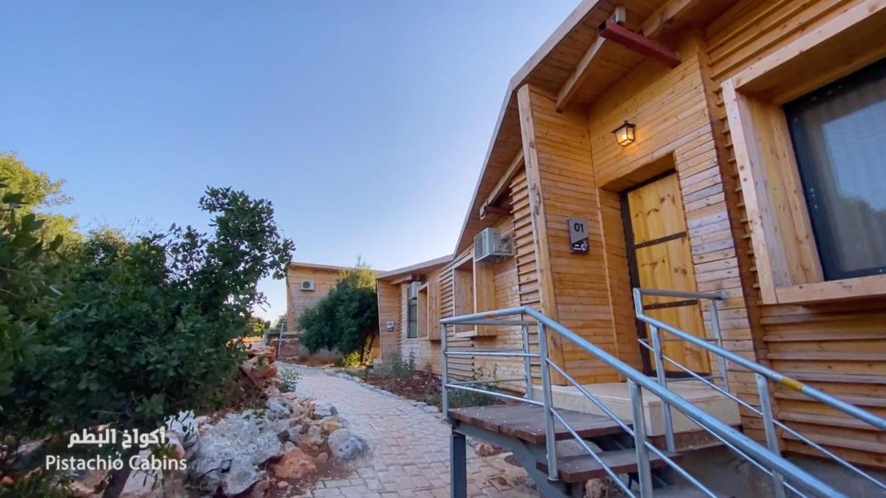 Ajloun Forest Reserve Jarash Esterno foto