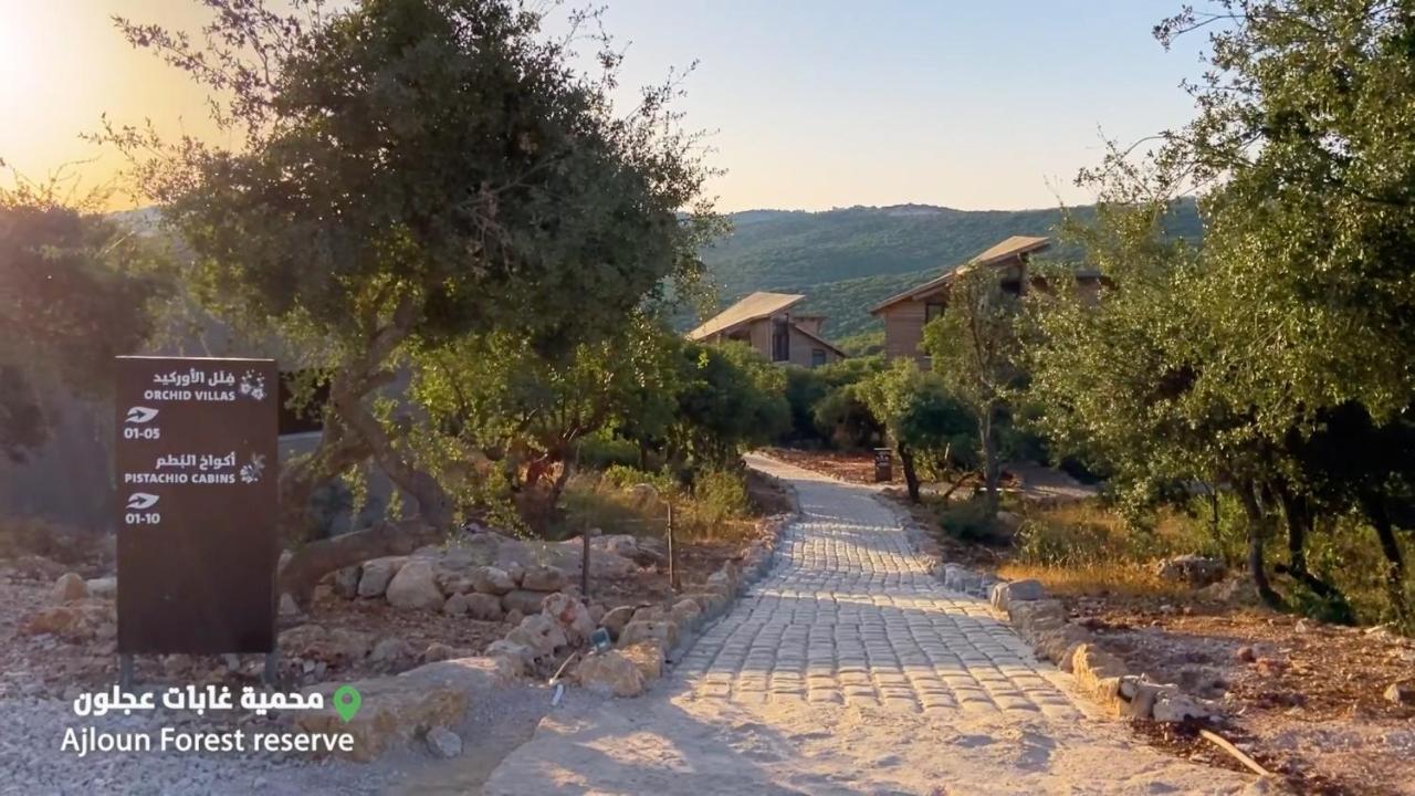 Ajloun Forest Reserve Jarash Esterno foto