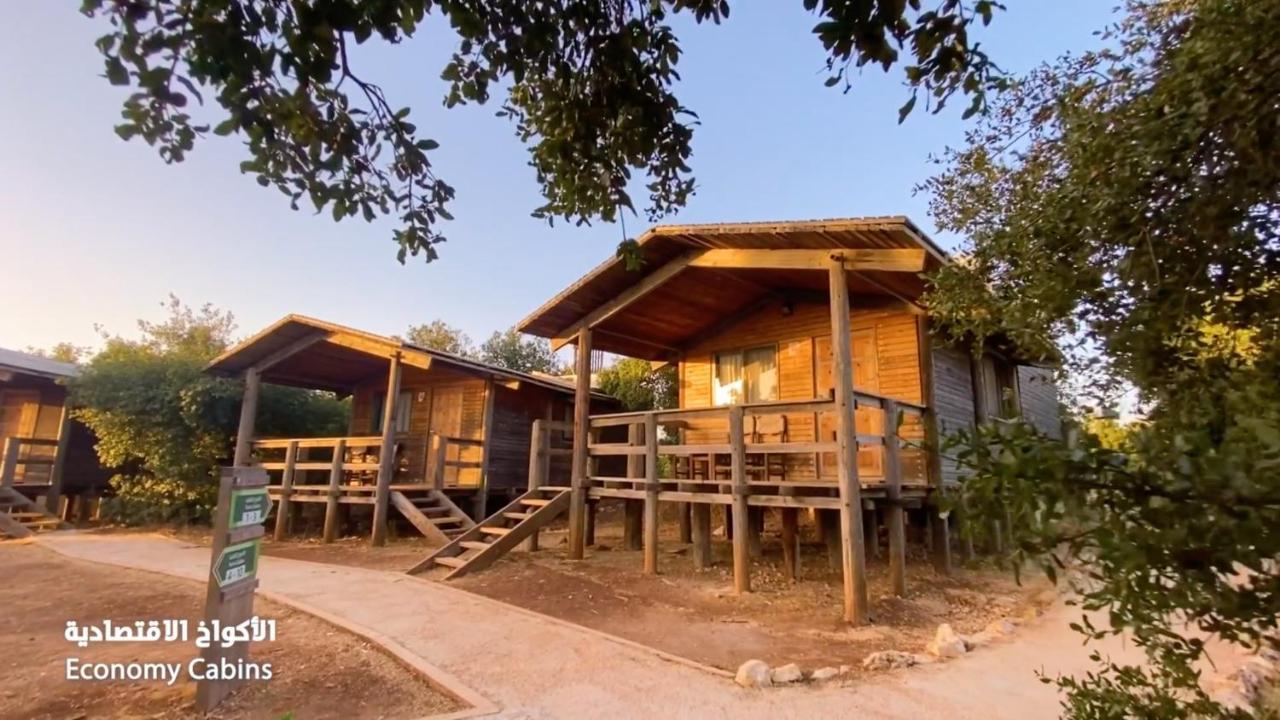 Ajloun Forest Reserve Jarash Esterno foto