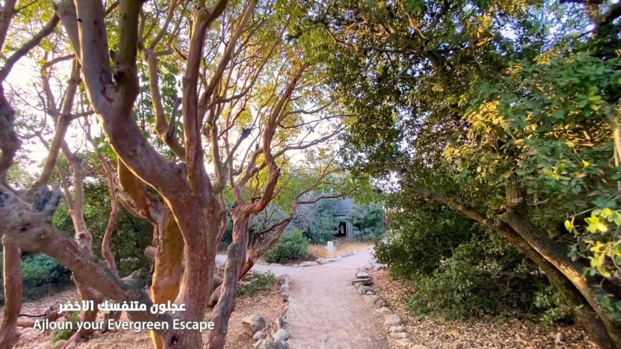 Ajloun Forest Reserve Jarash Esterno foto