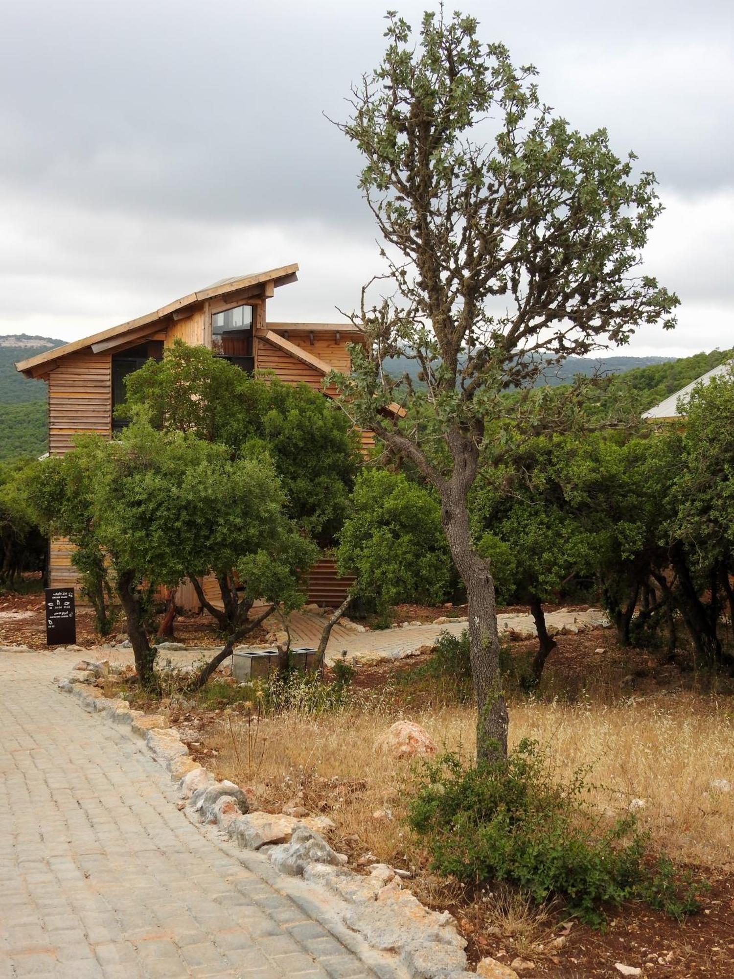 Ajloun Forest Reserve Jarash Esterno foto