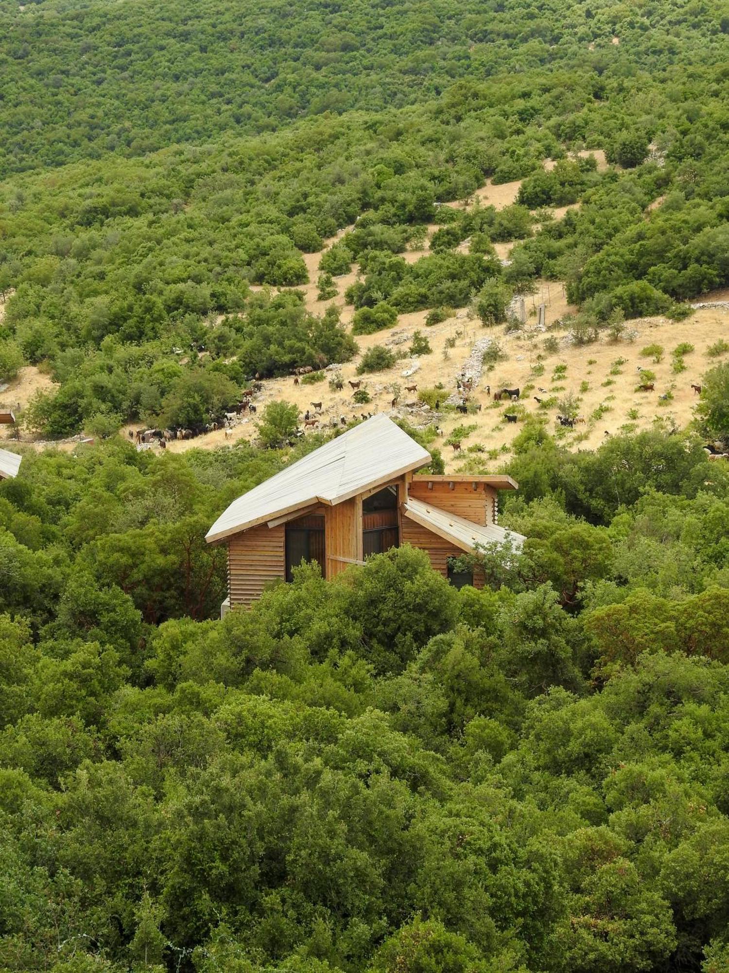 Ajloun Forest Reserve Jarash Esterno foto