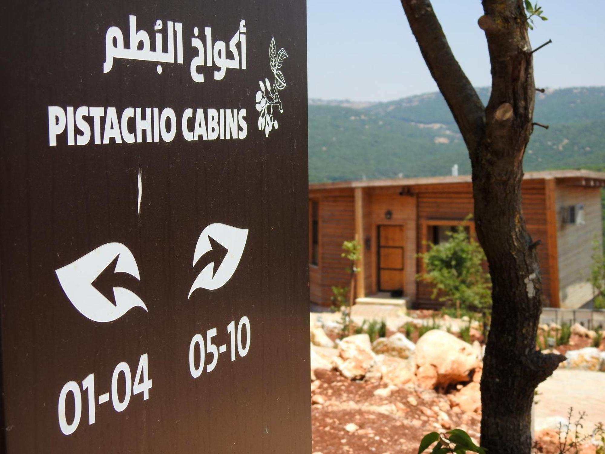Ajloun Forest Reserve Jarash Esterno foto