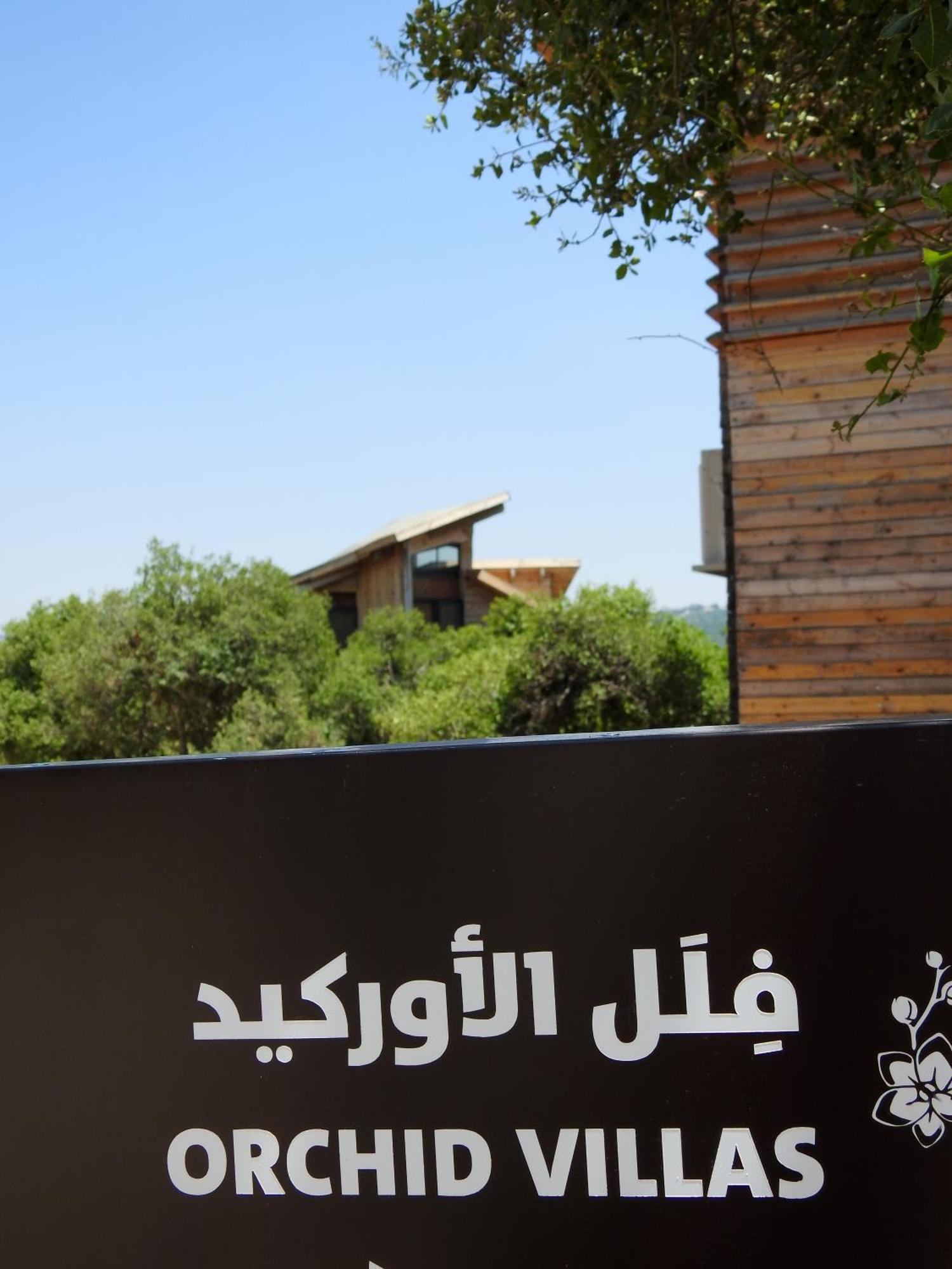 Ajloun Forest Reserve Jarash Esterno foto