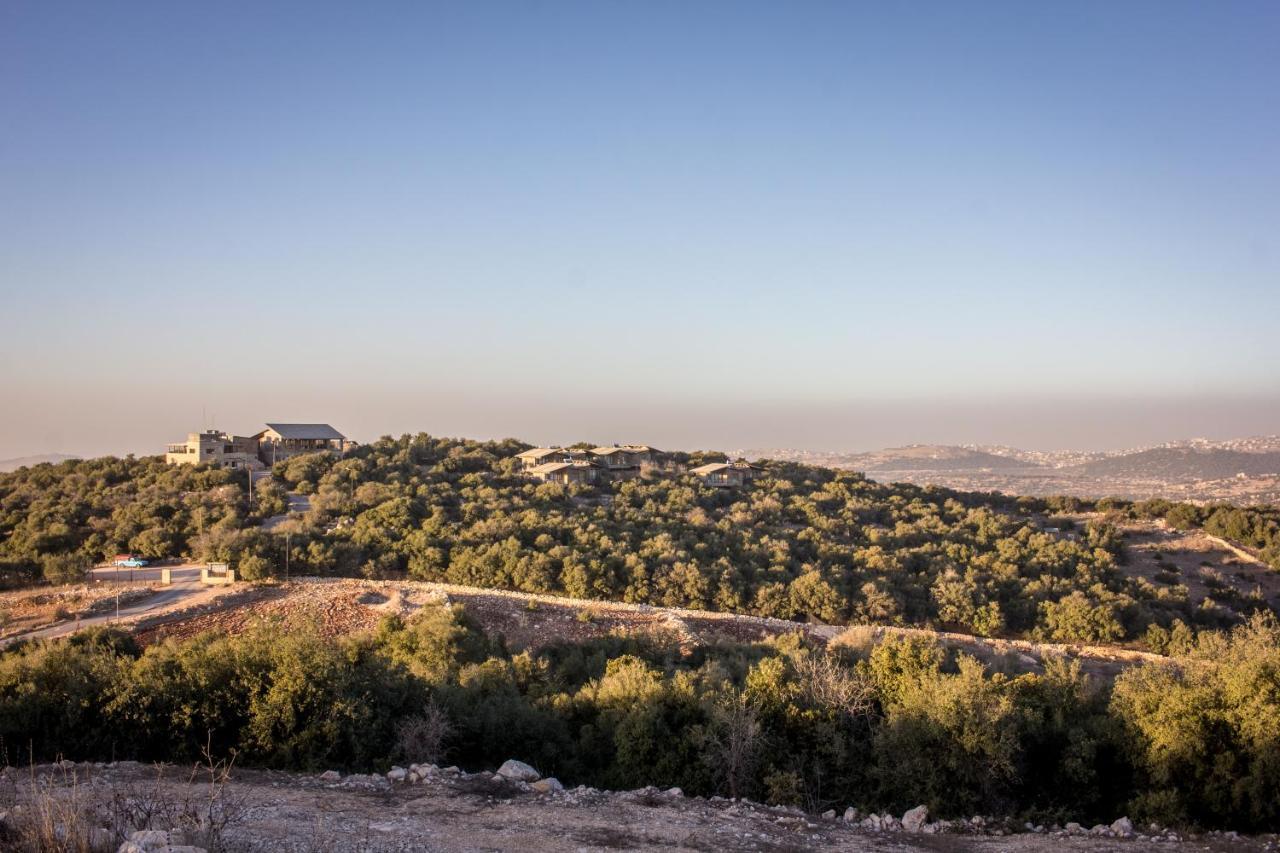 Ajloun Forest Reserve Jarash Esterno foto