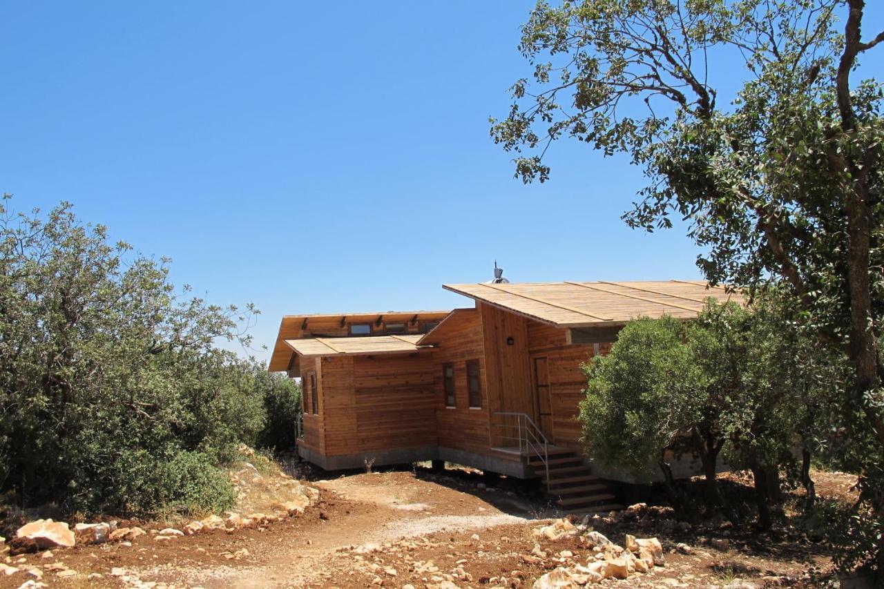 Ajloun Forest Reserve Jarash Esterno foto