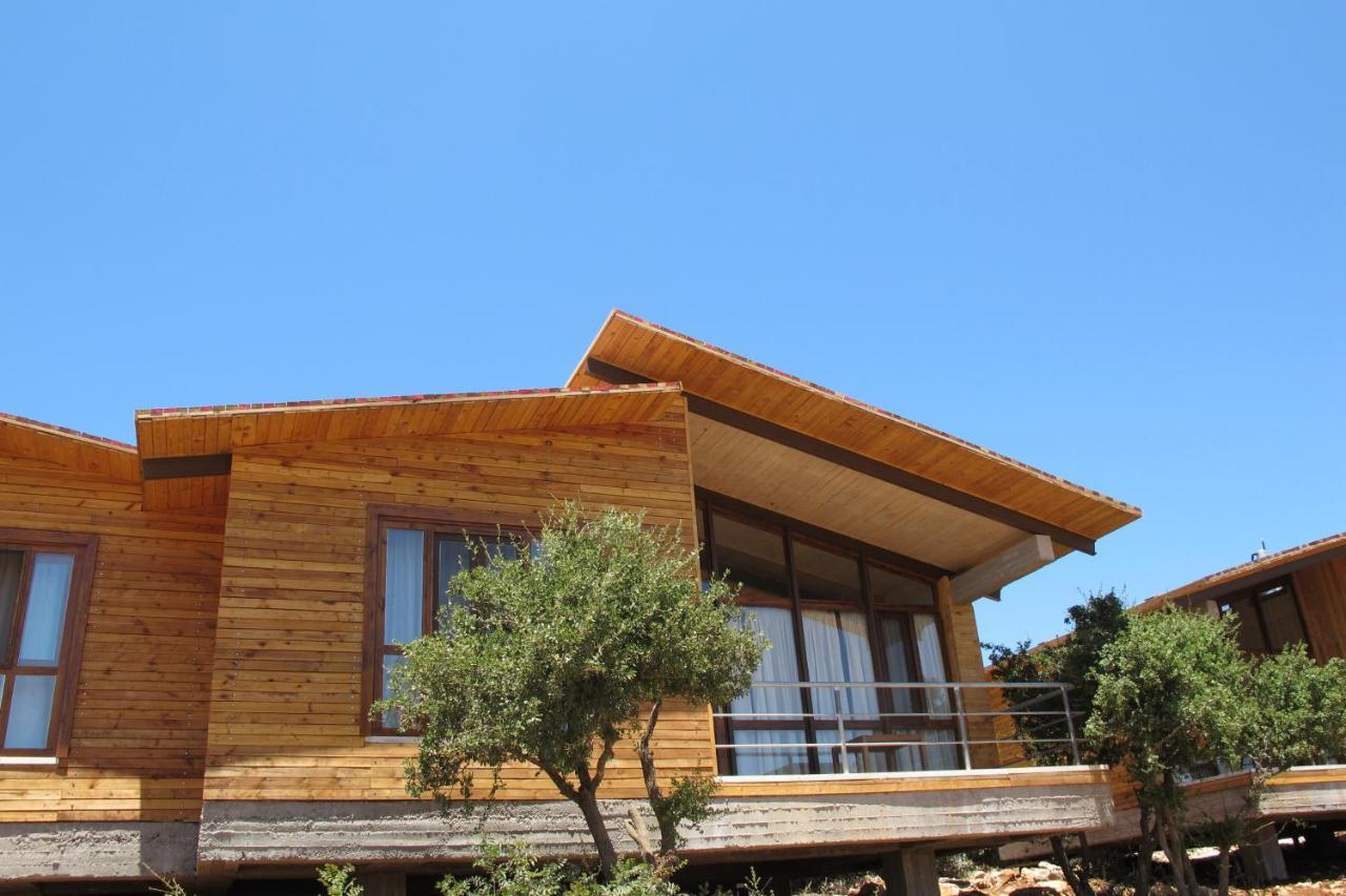 Ajloun Forest Reserve Jarash Esterno foto
