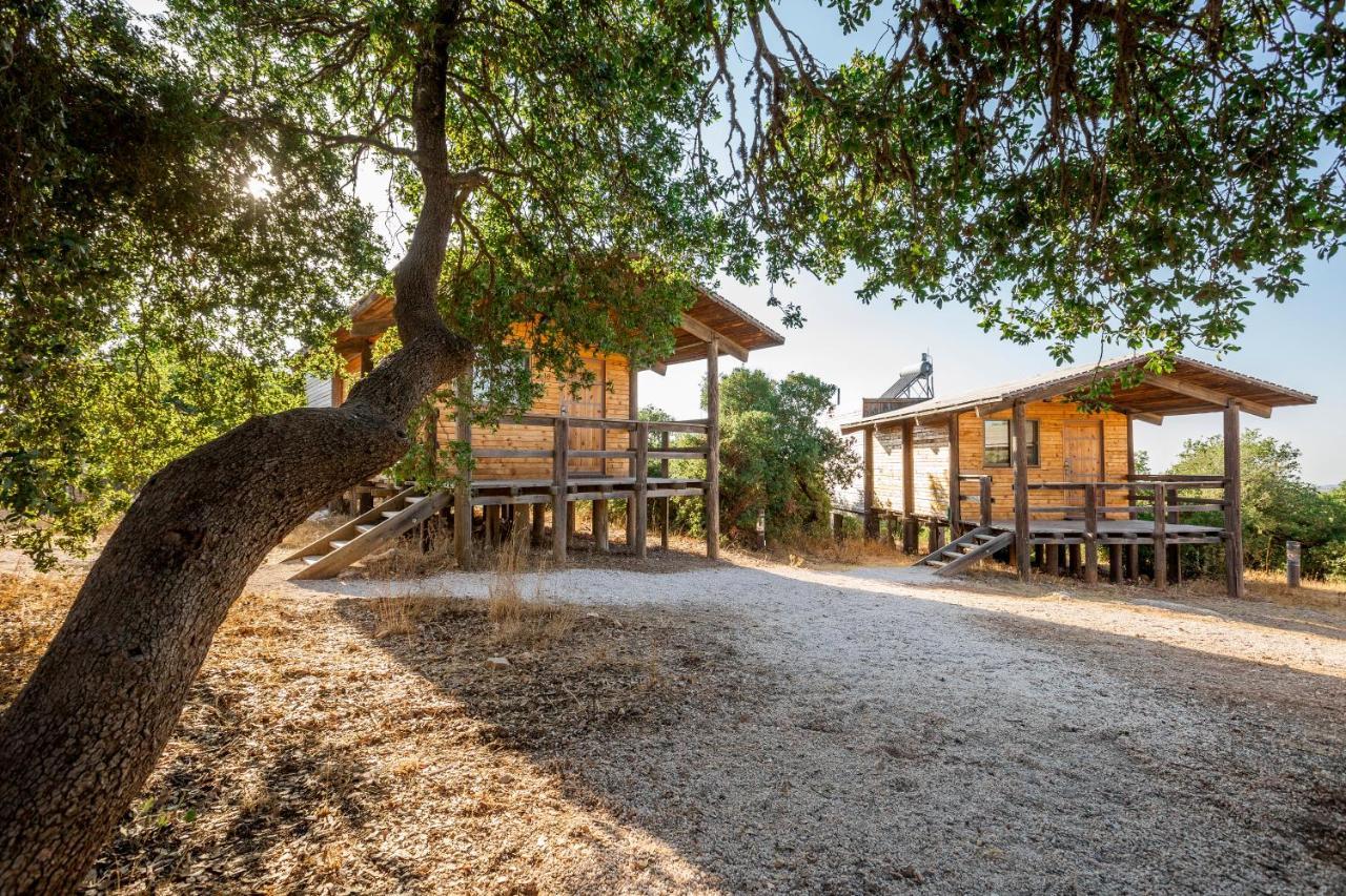 Ajloun Forest Reserve Jarash Esterno foto