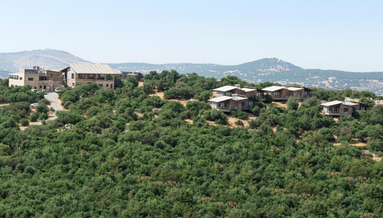 Ajloun Forest Reserve Jarash Esterno foto